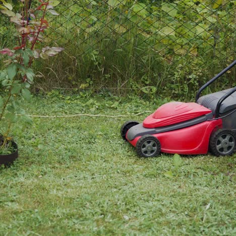 close-up of mowing the lawn. outdoor seasonal household works