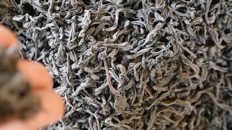 close-up of dried loose leaf tea leaves