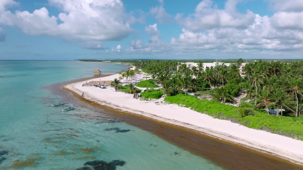 Dirty tropical sand beach with palm trees and a sunny day, blue sky, aerial