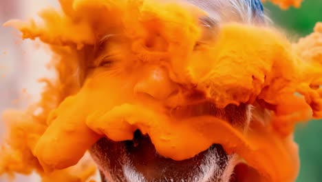 holi celebration: a senior man covered in orange powder