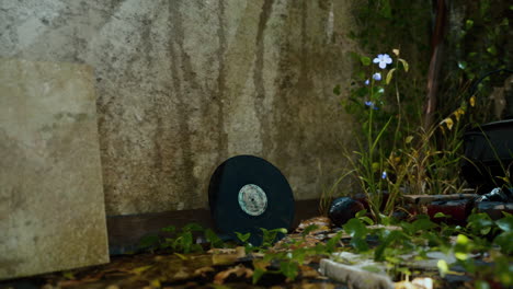 un disco de vinilo antiguo en el suelo frente a una pared cubierta de vegetación