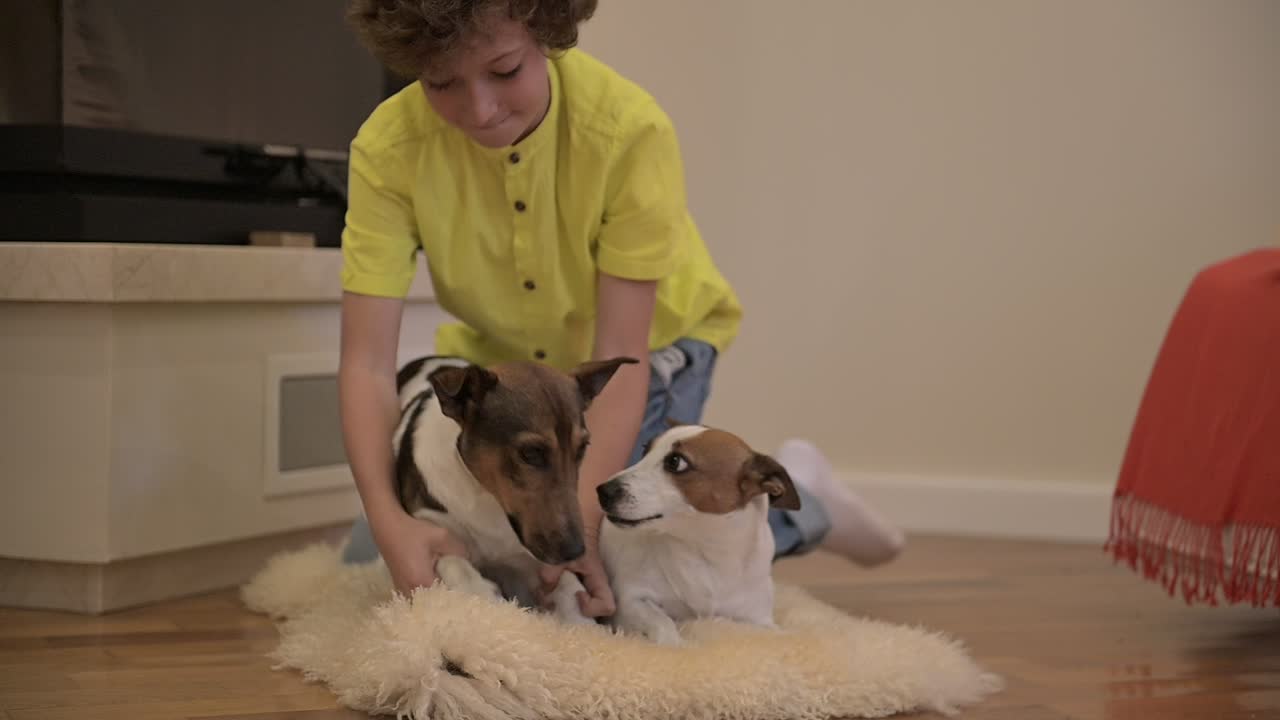 곱슬머리에 금발 소년이 카펫에서 개와 놀고 있다