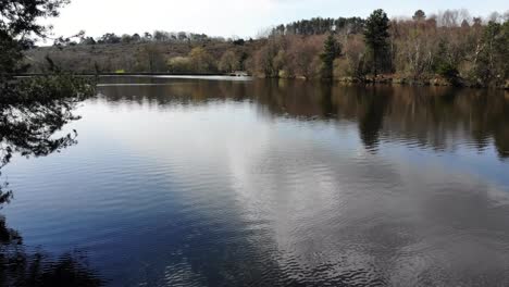 Ruhiger,-Reflektierender-Squabmoor-Stausee-In-Woodbury-Common,-East-Devon