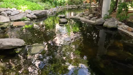 a serene pond reflecting trees and sky changes subtly.