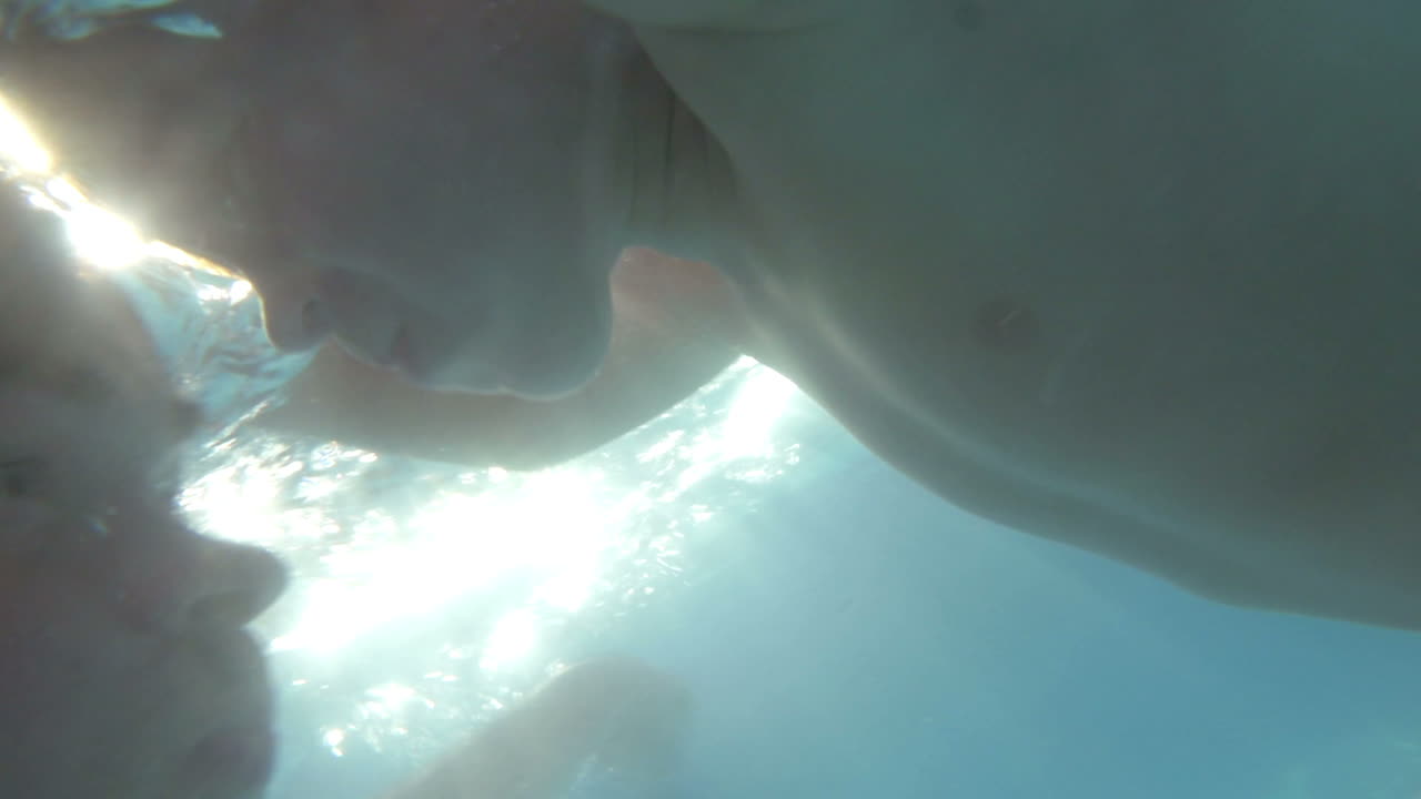 그들은 수영장에서 수영과 다이빙을 즐기고 있습니다.