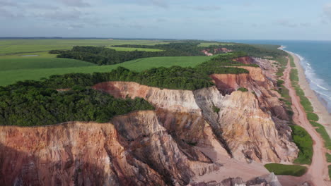 AERIAL---Cliffs-and-green-landscape-at-Falesias-do-Gunga-beach,-Alagoas,-Brazil