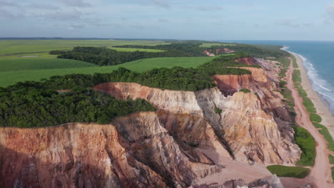 aerial - cliffs and green landscape at falesias do gunga beach, alagoas, brazil