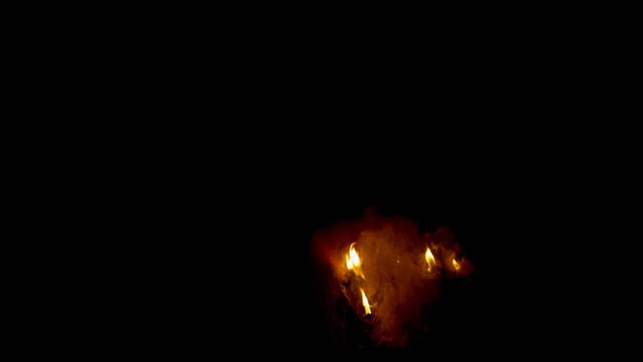 알파와 함께 현실적인 화재