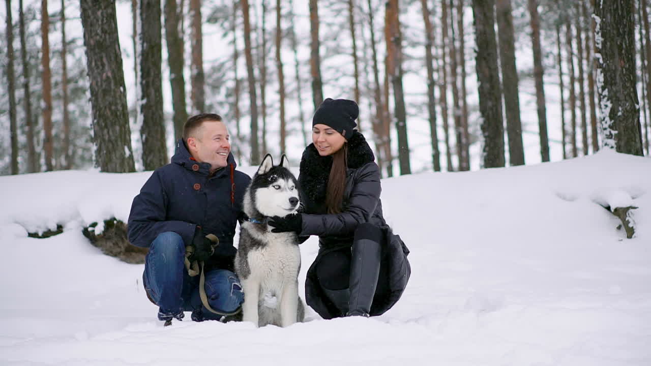 Family portrait of cute happy couple hugging with their alaskan malamute dog licking man's face. Funny puppy wearing santa christmas deer antlers and kissing woman. Freedom lifestyle pet lovers.