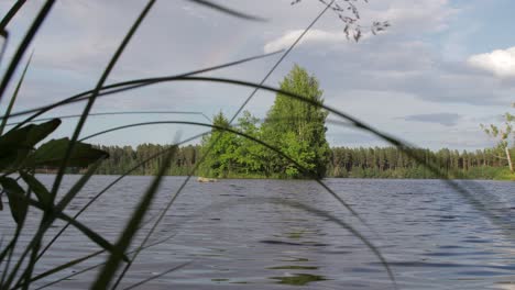 Üppige-Grüne-Bäume,-Die-An-Einem-Bewölkten-Sommertag-Hoch-In-Einem-Wunderschönen-See-Stehen,-Aufgenommen-In-4K-Auflösung