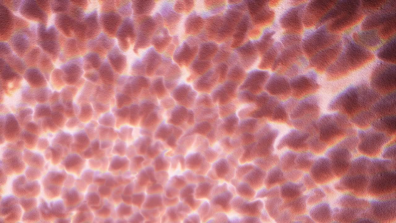 danza acuática iluminada por el sol con fondo rojo