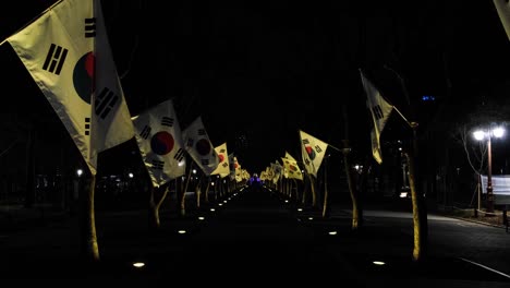 symmetrically waving korean flags in the alley at night in 4k slow motion