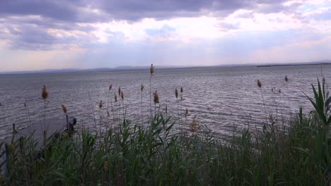 Der-Schöne-See-Von-Albufera-Spanien