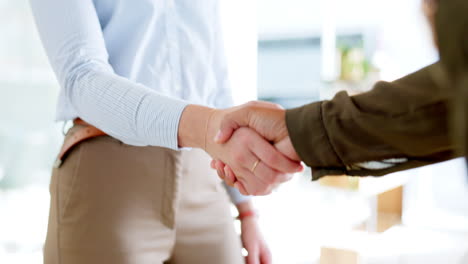 Handshake,-office-and-agreement-with-business