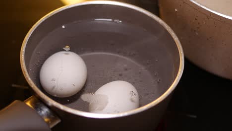 boiling eggs in a saucepan