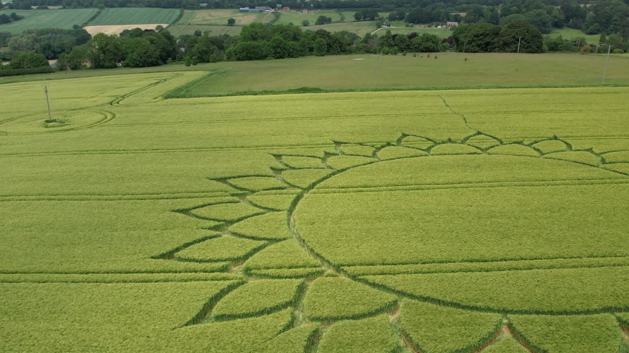 diseño de flores en cultivos de tierras de cultivo, hermosa vista aérea de drones