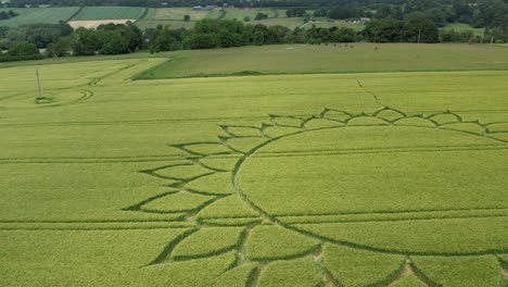 flower design in farmland crops, beautiful aerial drone view