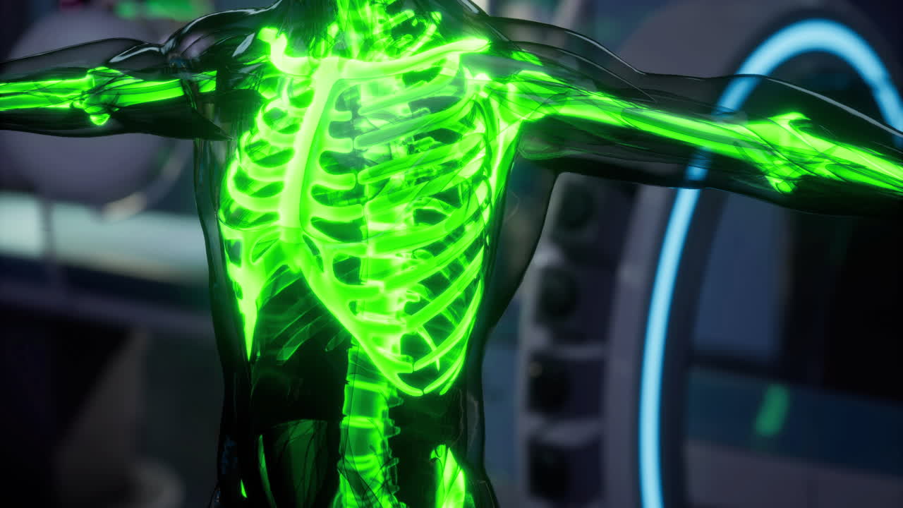 Visual representation of the human skeletal system glowing in green light