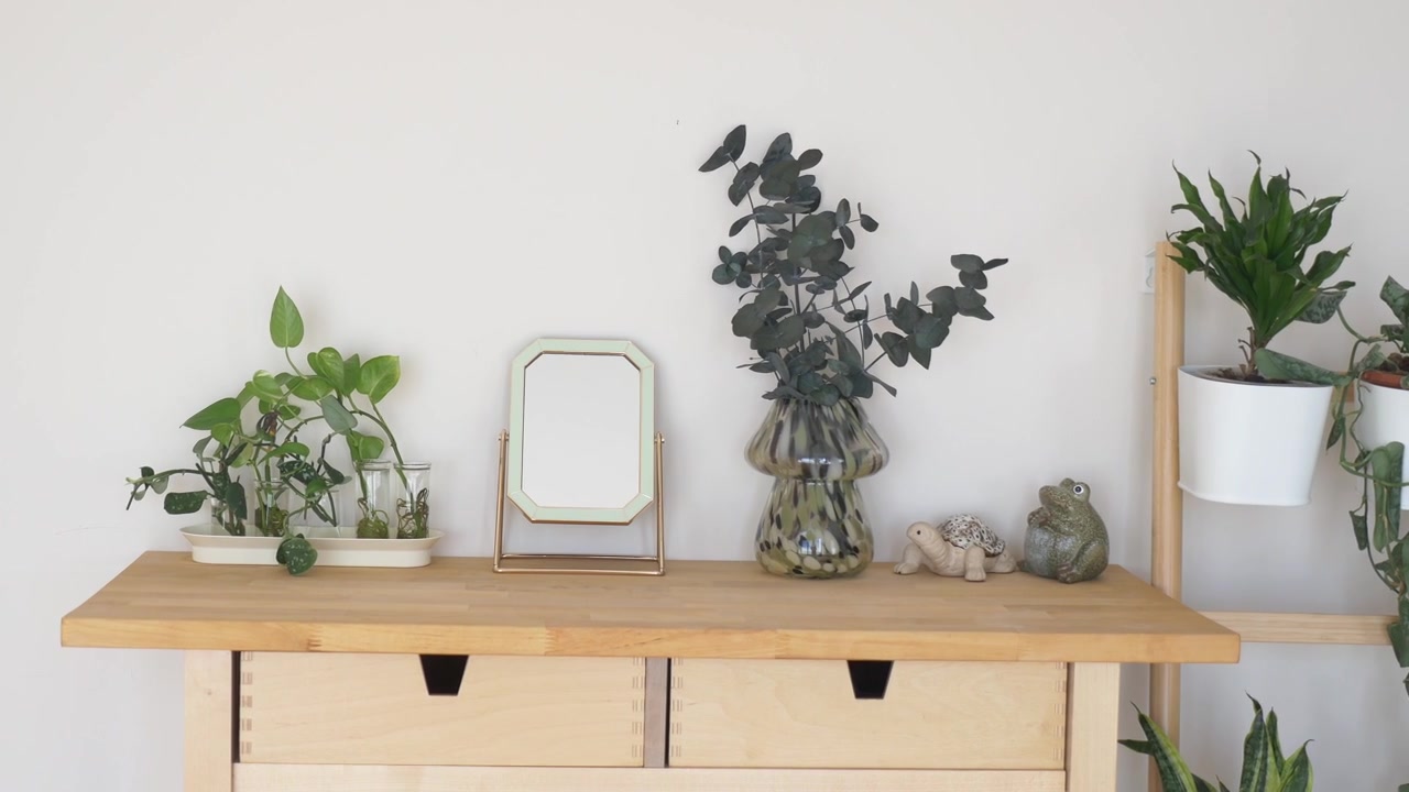 Minimalist Wooden Desk Decorated with Potted Plants and Decorative Objects