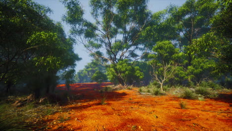 coastal vegetation with trees and shrubs