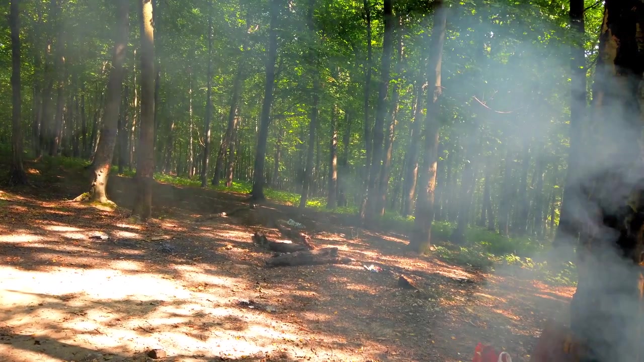 Fumo da un incendio nel bosco