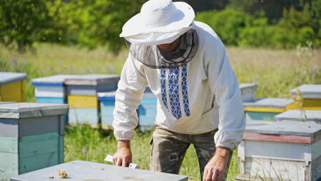 apiarist near beehives. beekeeper in protective hat inspecting bees on the apiary among nature. apiculture concept.