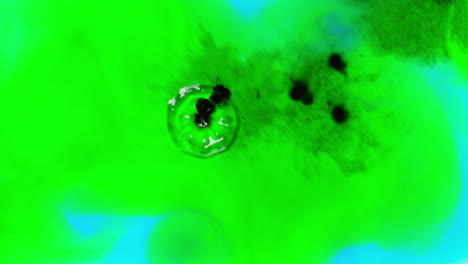 overhead shot of droplets of green and blue paint or dye dropped into water against white background to create swirling colourful pattern 1