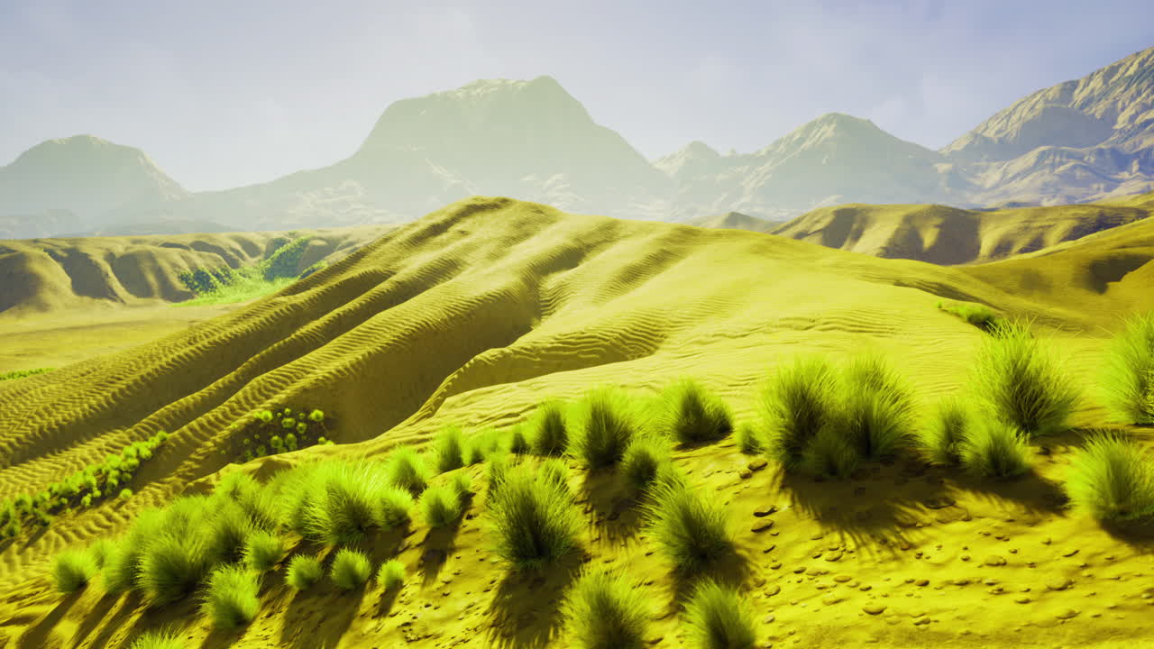 Sand dunes and lush vegetation surrounding mountains in bright daylight