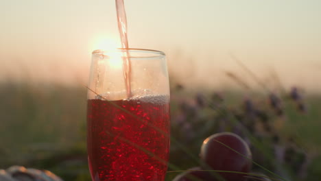 close up of person pouring red wine into transparent glass surrounded by fruits and wildflowers on picnic cloth as warm golden sunlight shines through drink in open grassy field