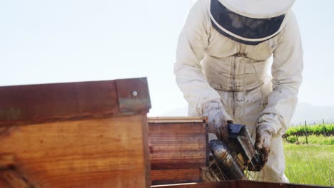 beekeeper smoking the bee hive