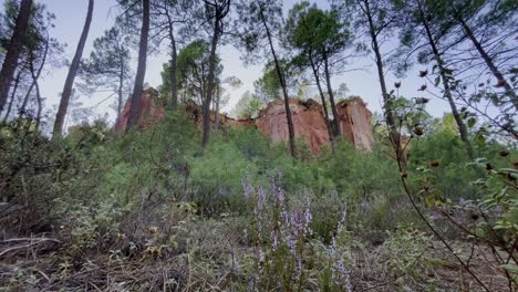 Rocas-De-época-En-Una-Colina-En-Un-Bosque-Seco-De-Francia-Bajo-El-Sol-De-La-Tarde