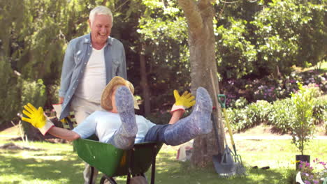 husband pushing wife in a wheelbarrow