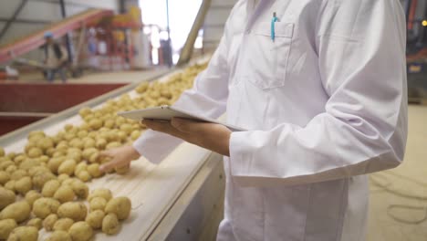 ingeniero de alimentos trabajando con tabletas en una planta de envasado de patatas.