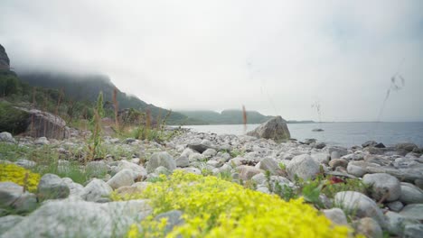 rocky shore of donnamannen mountain in nordland, norway