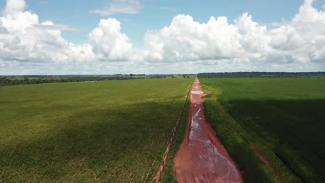 Camino-De-Tierra-Divide-Los-Campos-De-Cultivo-De-Soja