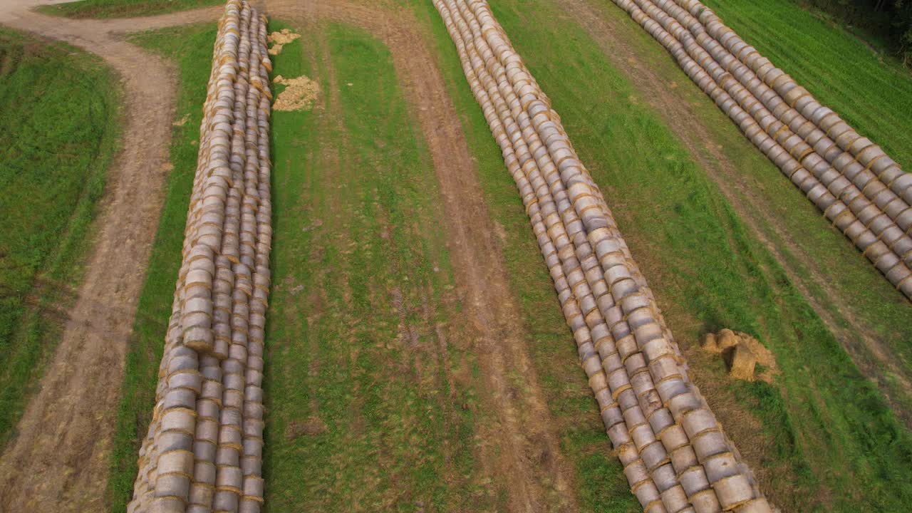 balas de heno en el campo agrícola, vista arial. pajar y cosecha de hierba seca para la agricultura
