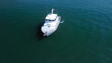 dando vueltas alrededor de un barco de pesca deportiva en la bahía de san diego