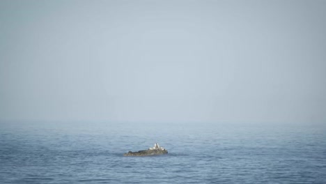 Rocks-stand-out-from-the-calm-blue-sea