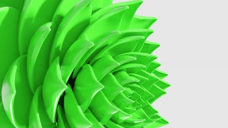 Una-Animación-De-Arte-Digital-De-La-Apertura-De-Una-Flor-De-Loto-Verde-En-Una-Representación-3d-En-Bucle