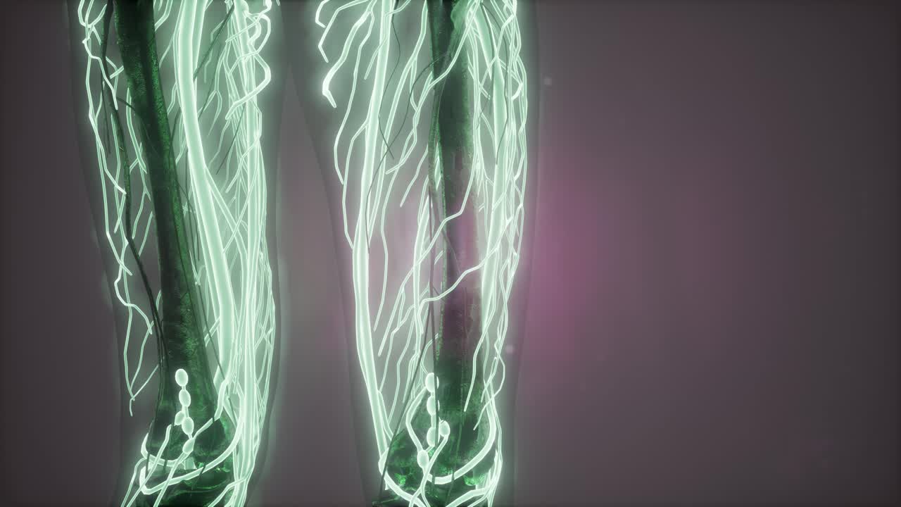 빛나는 혈관으로 된 인체