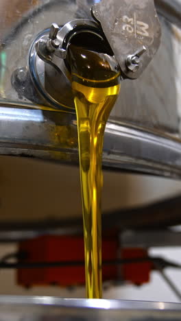 sweet honey harvesting machine. natural organic honey apiary farming. vertical video