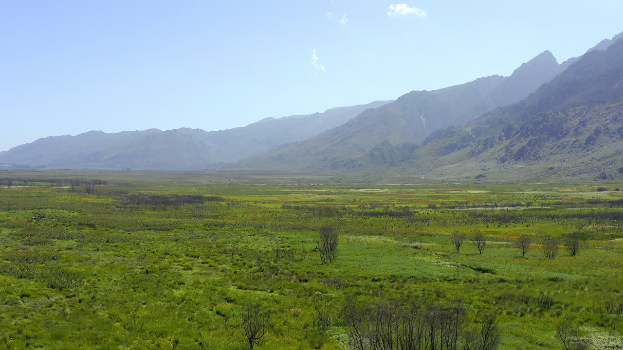 чем зеленее, тем лучше.