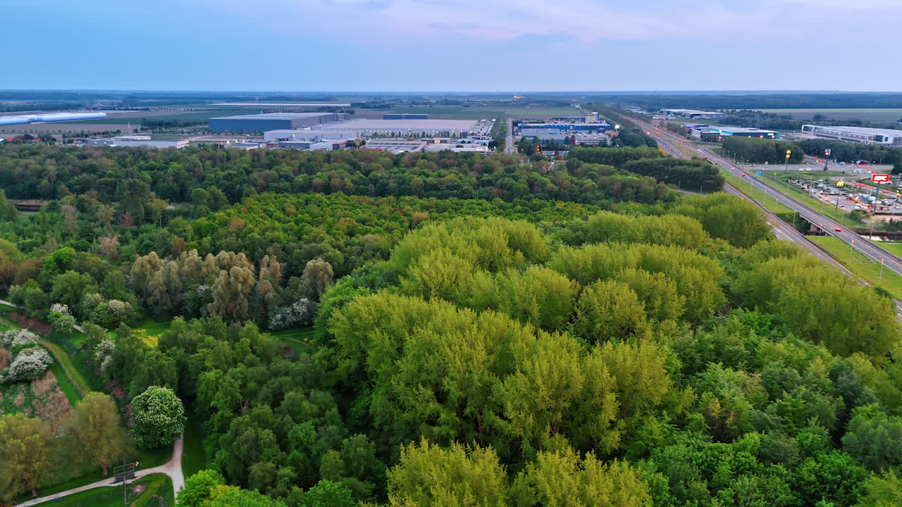 Urban spring forest lushness. A vibrant forest thrives at the edge of a city, showcasing rich greenery under a clear spring sky