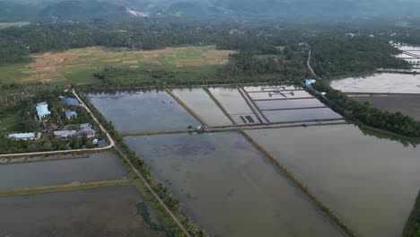 Vista-Panorámica-Aérea-Del-Complejo-De-Grandes-Embalses-Del-Estanque-De-Chanos,-Filipinas