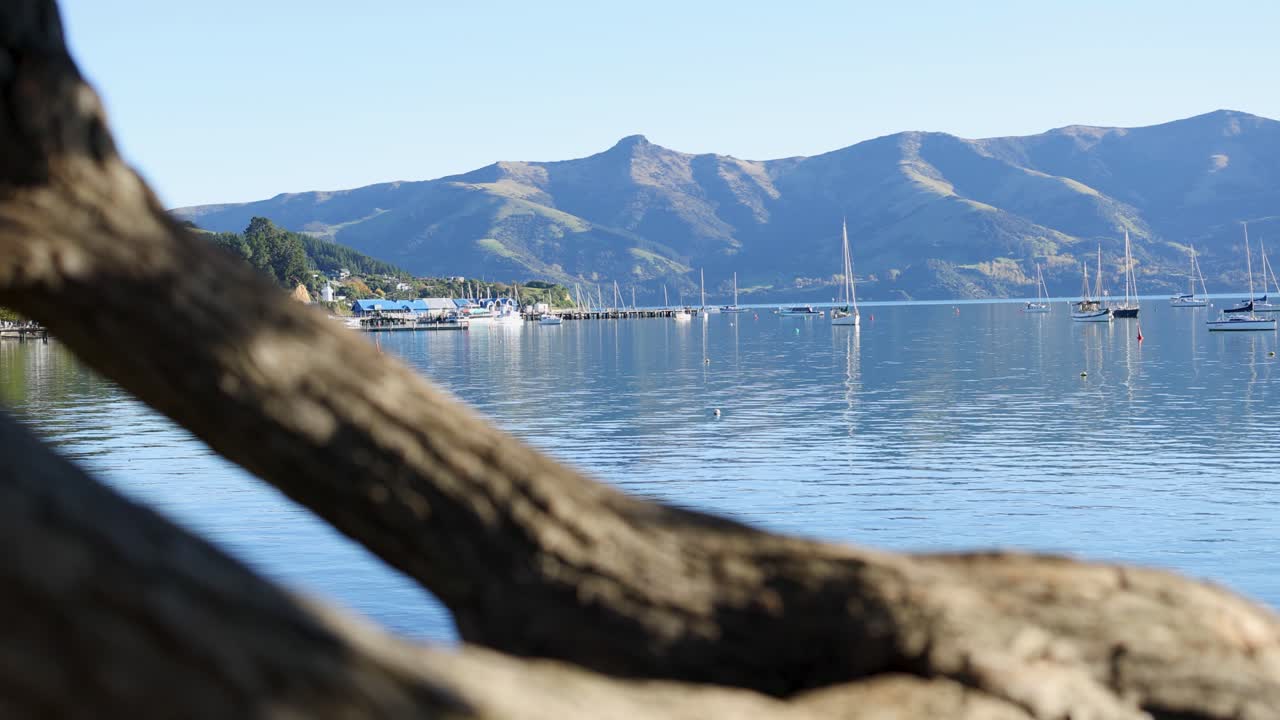Calm lake with mountain backdrop, framed by tree branches, captured in bright daylight