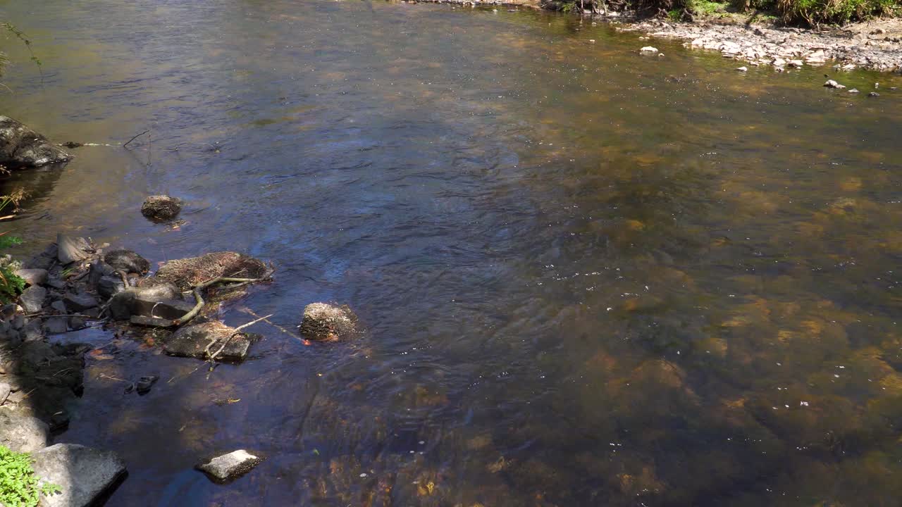 다트무어 국립공원의 테인 강을 흐르는 담수