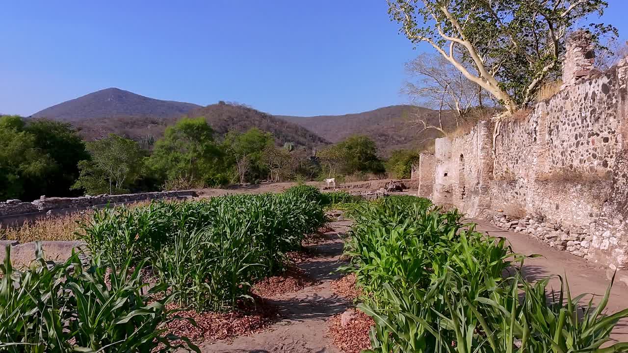 Ex Hacienda de San Jacinto Ixtoluca: landscape view with rock wall and blue sky during the day in La Mezquitera, Morelos, Mexico, wide shot
