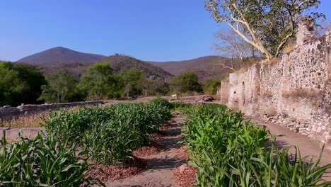ex hacienda de san jacinto ixtoluca: landscape view with rock wall and blue sky during the day in la mezquitera, morelos, mexico, wide shot