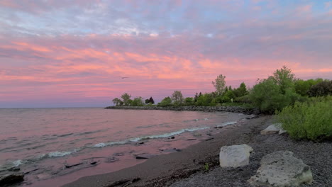 Panning-view-of-suggestive-pink-sky-at-sunset-with-flight-of-seagulls-over-a-lake