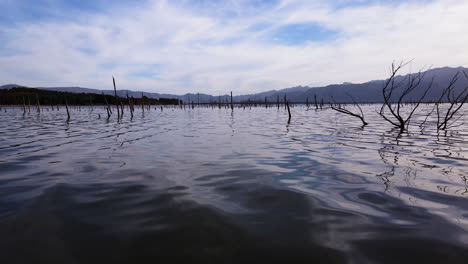 Low-drone-flight-over-dam-water-surface-between-half-submerged-dead-trees